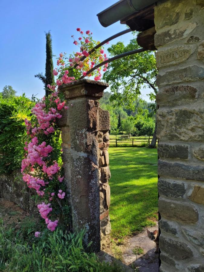 Ferienwohnung La Casa Nel Chianti Greve in Chianti Exterior foto