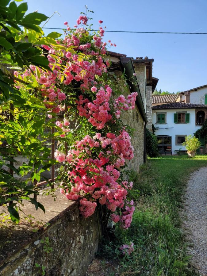 Ferienwohnung La Casa Nel Chianti Greve in Chianti Exterior foto