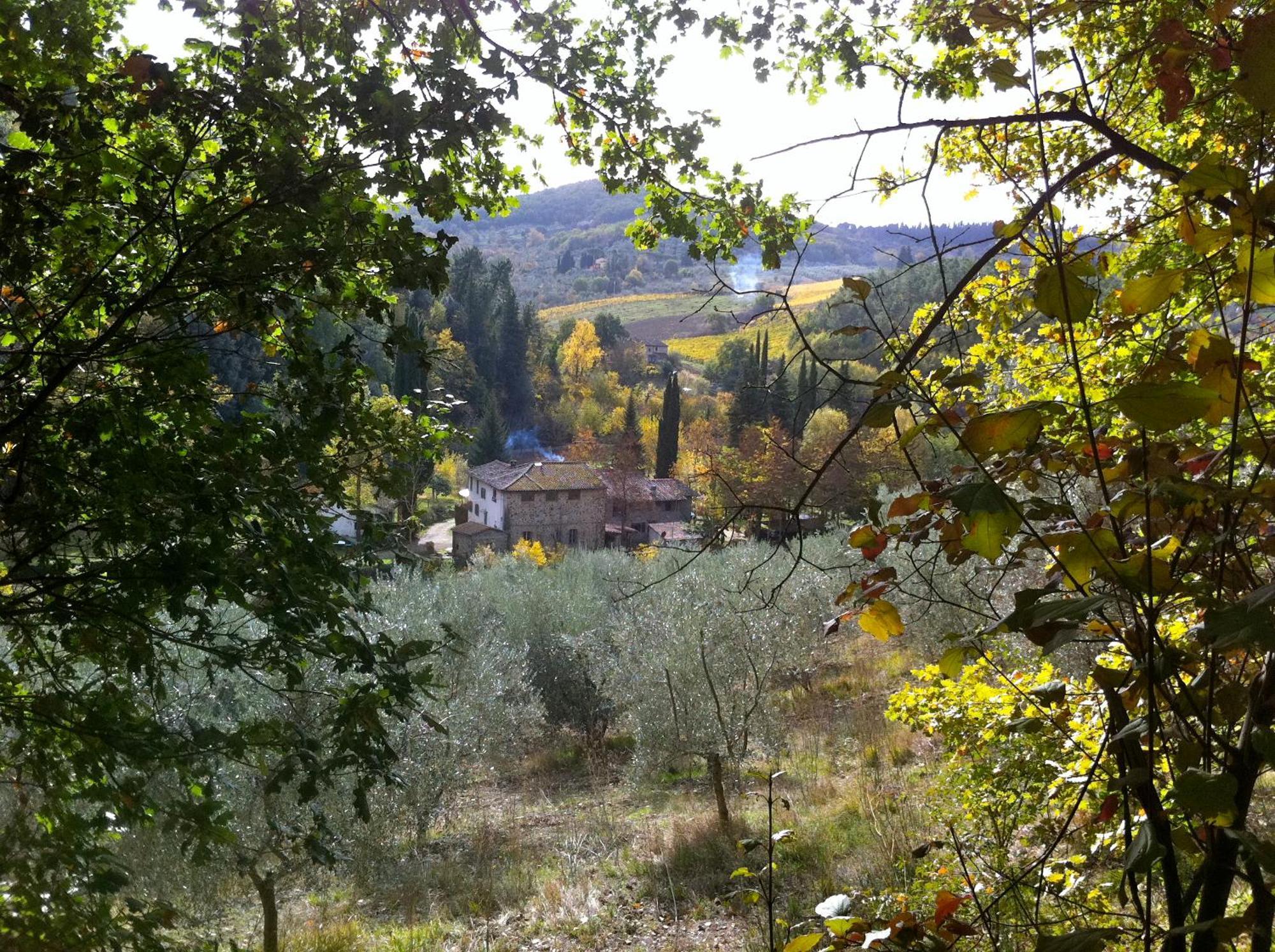 Ferienwohnung La Casa Nel Chianti Greve in Chianti Exterior foto