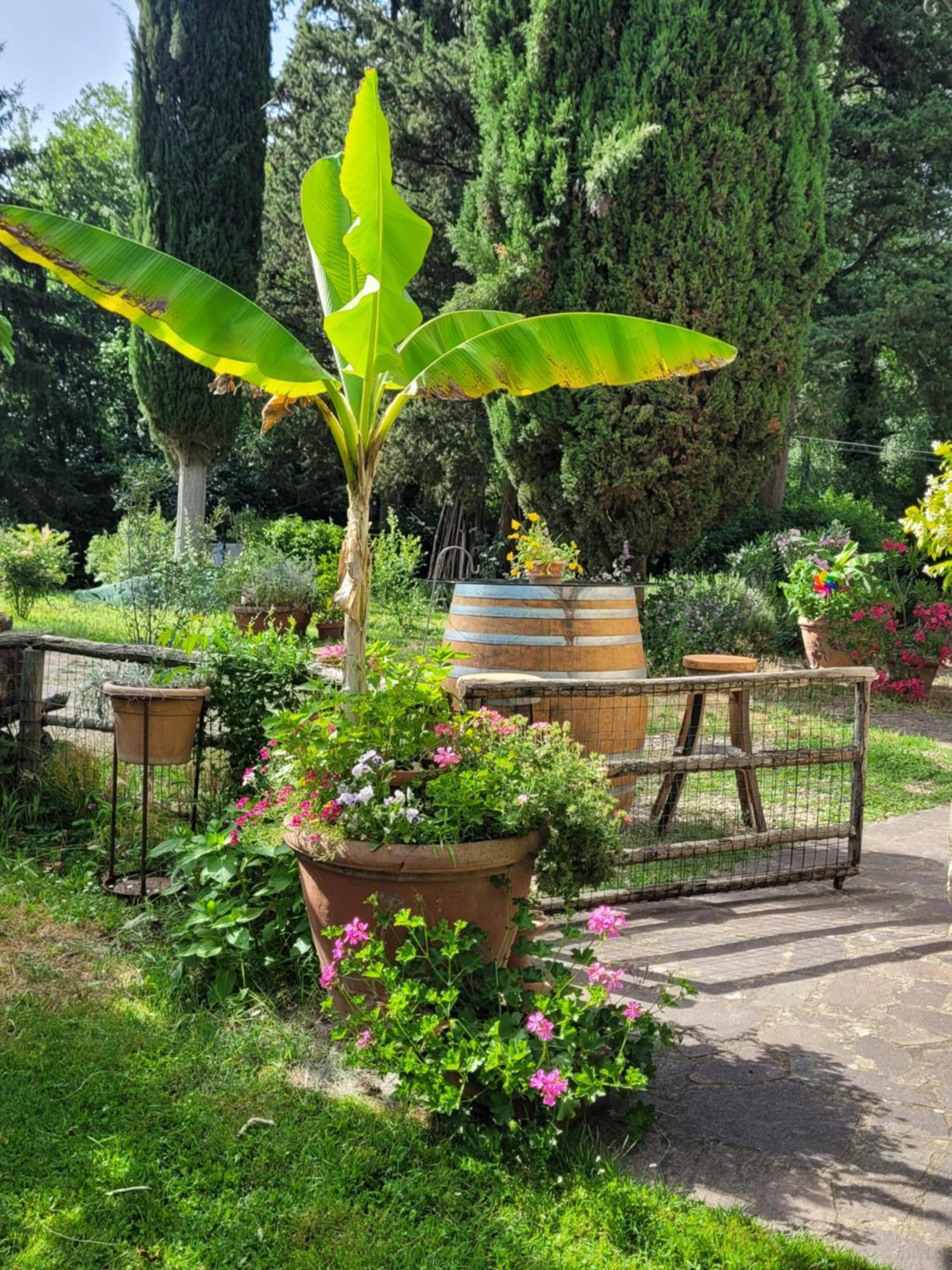 Ferienwohnung La Casa Nel Chianti Greve in Chianti Exterior foto